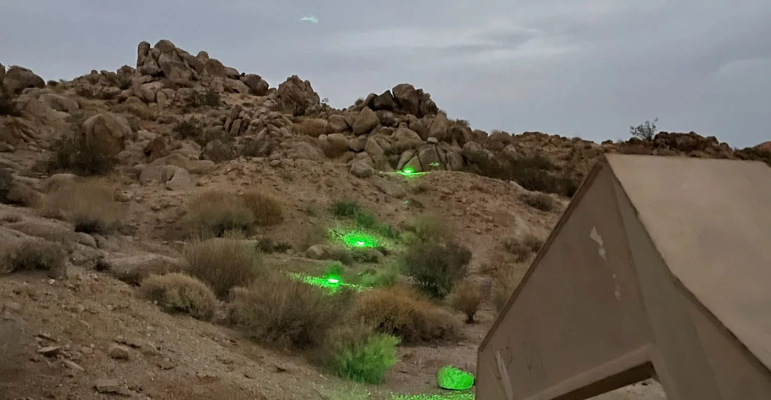 BreachON markers glowing along a cleared lane at night
